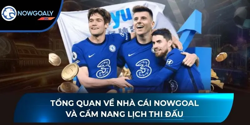 Tổng quan về nhà cái Nowgoal và cẩm nang lịch thi đấu