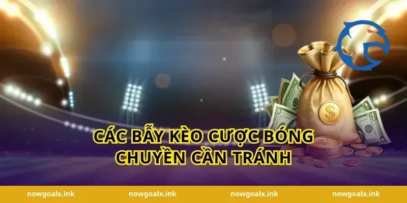 Các bẫy kèo cược bóng chuyền cần tránh