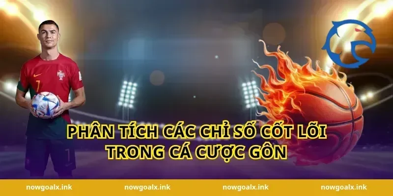 Phân tích các chỉ số cốt lõi trong cá cược gôn