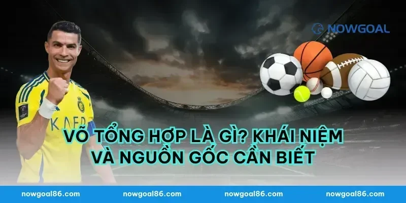 Võ Tổng Hợp Là Gì? Khái Niệm Và Nguồn Gốc Cần Biết